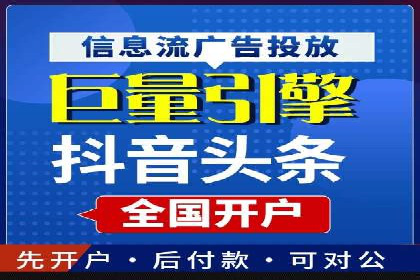 SEM搜索引擎优化策略解析与应用案例